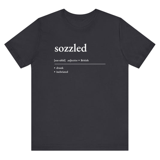 Nerd Word T - Shirt 'Sozzled' - Bella + Canvas 3001 - Nerdy by Nature